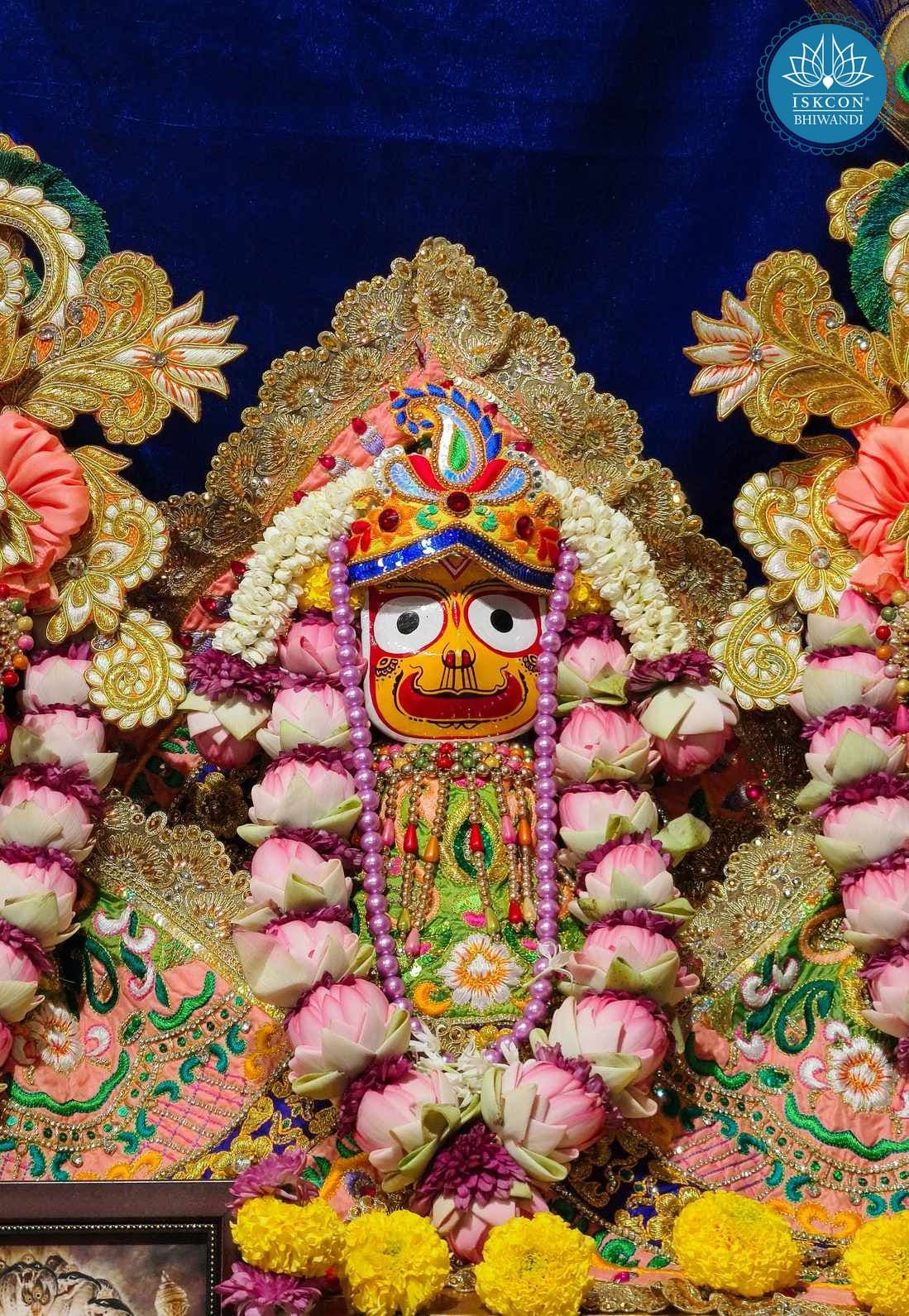Sringar Darshan photo 8 of 12 — 29 October 2025