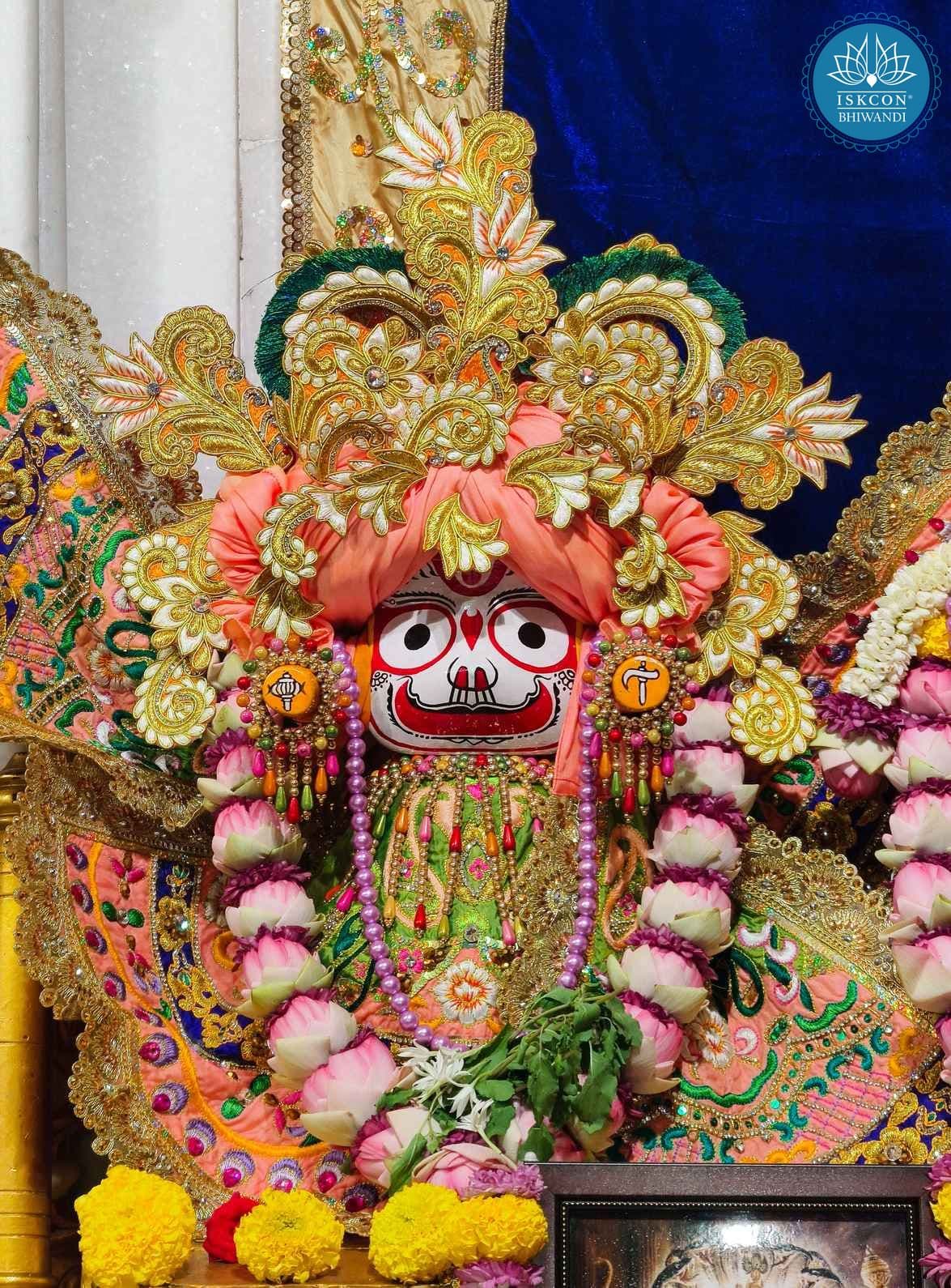 Sringar Darshan photo 9 of 12 — 29 October 2025