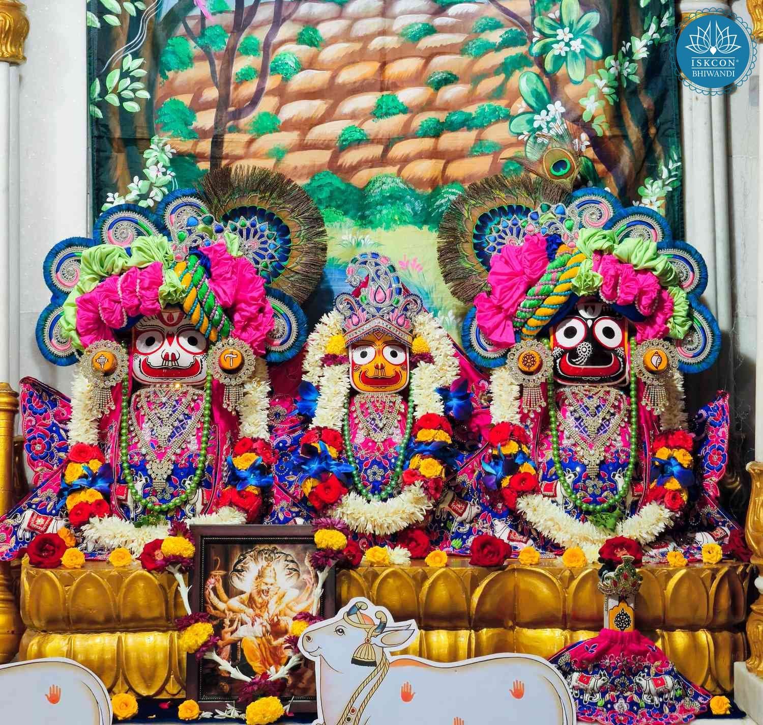 Sringar Darshan photo 4 of 12 — 30 October 2025