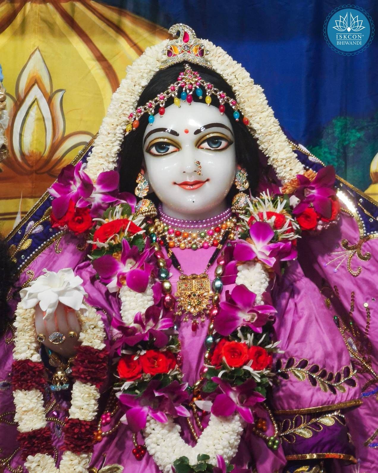 Sringar Darshan photo 11 of 12 — 1 November 2025