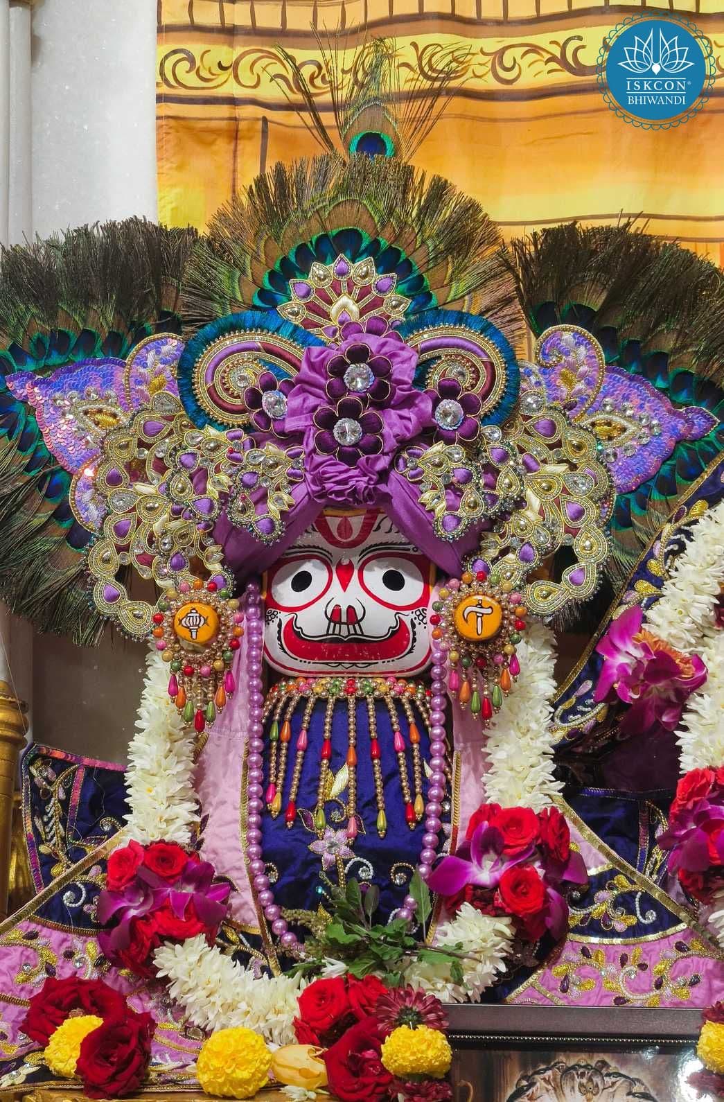 Sringar Darshan photo 8 of 12 — 1 November 2025