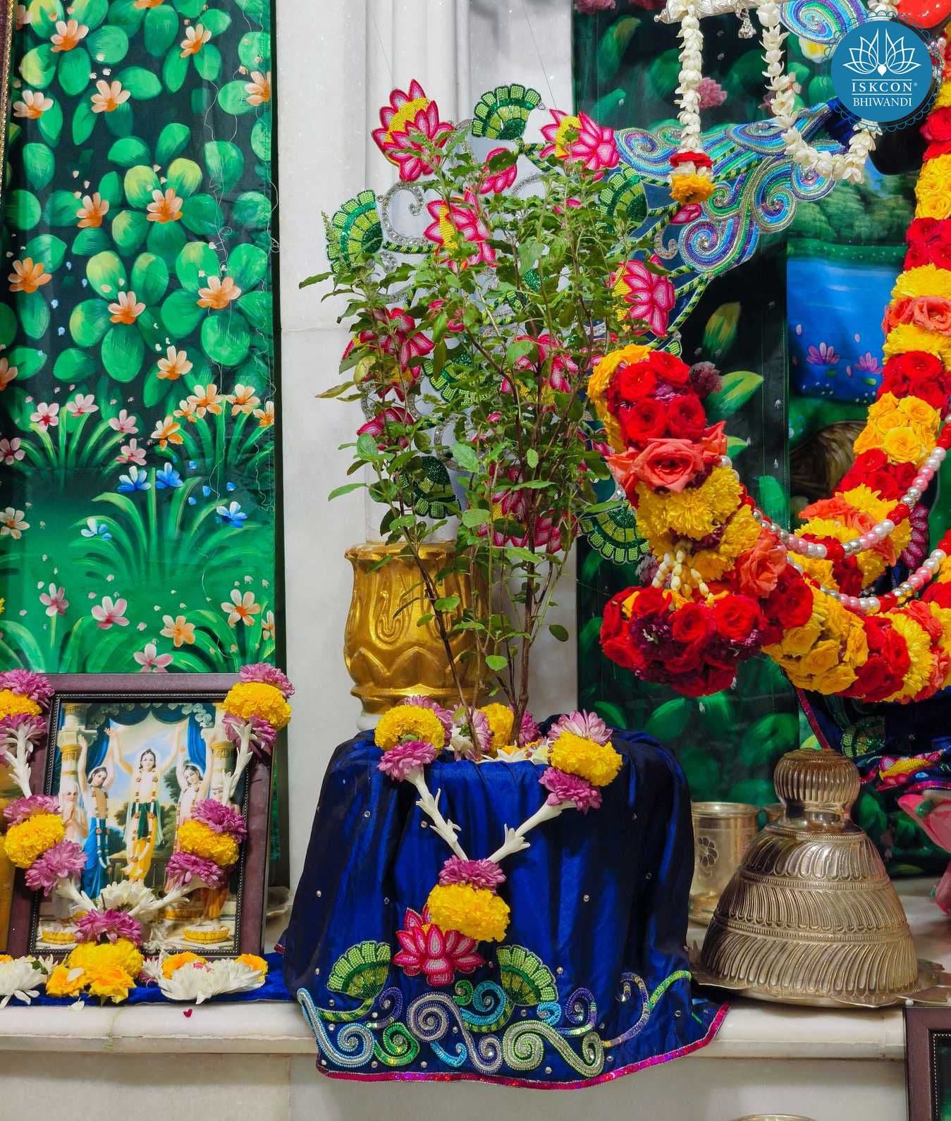 Sringar Darshan photo 5 of 12 — 4 November 2025