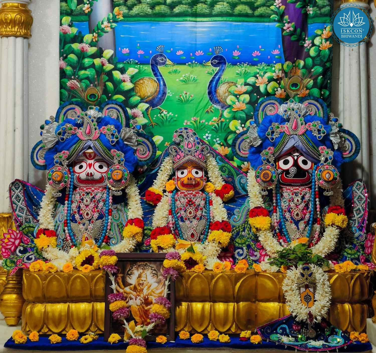 Sringar Darshan photo 2 of 12 — 4 November 2025
