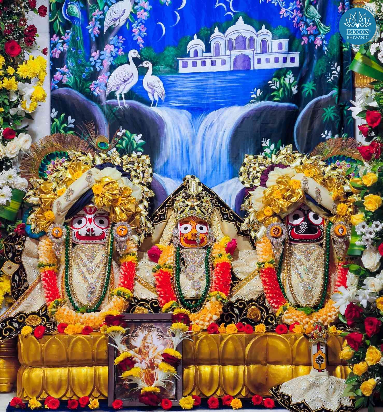 Sringar Darshan photo 11 of 12 — 5 November 2025
