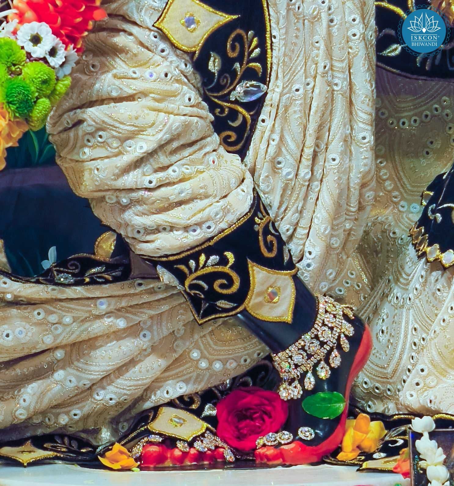 Sringar Darshan photo 4 of 12 — 5 November 2025
