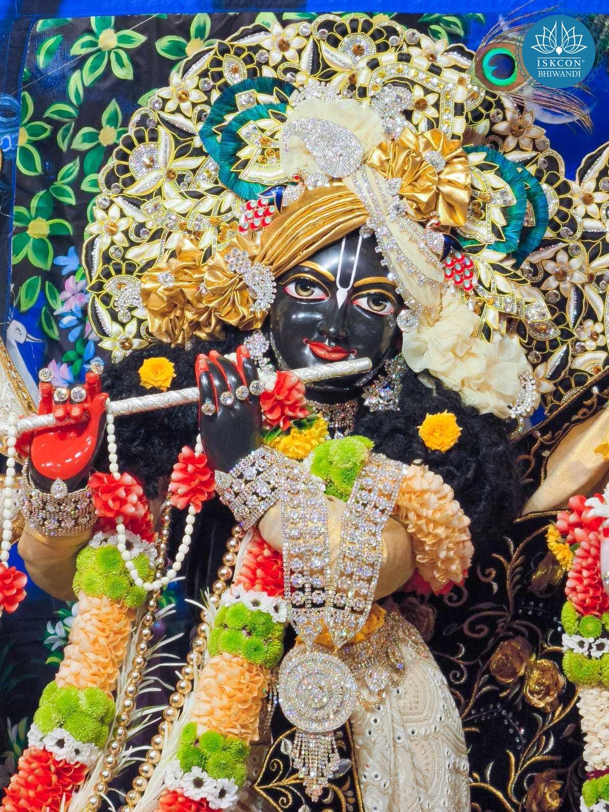 Sringar Darshan photo 2 of 12 — 5 November 2025