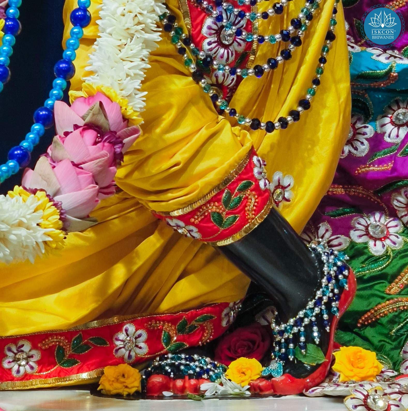 Sringar Darshan photo 3 of 12 — 7 November 2025