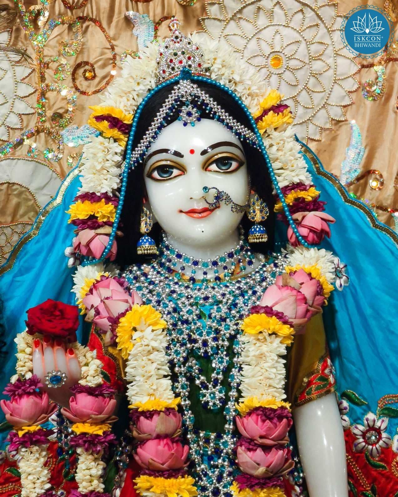 Sringar Darshan photo 12 of 12 — 7 November 2025