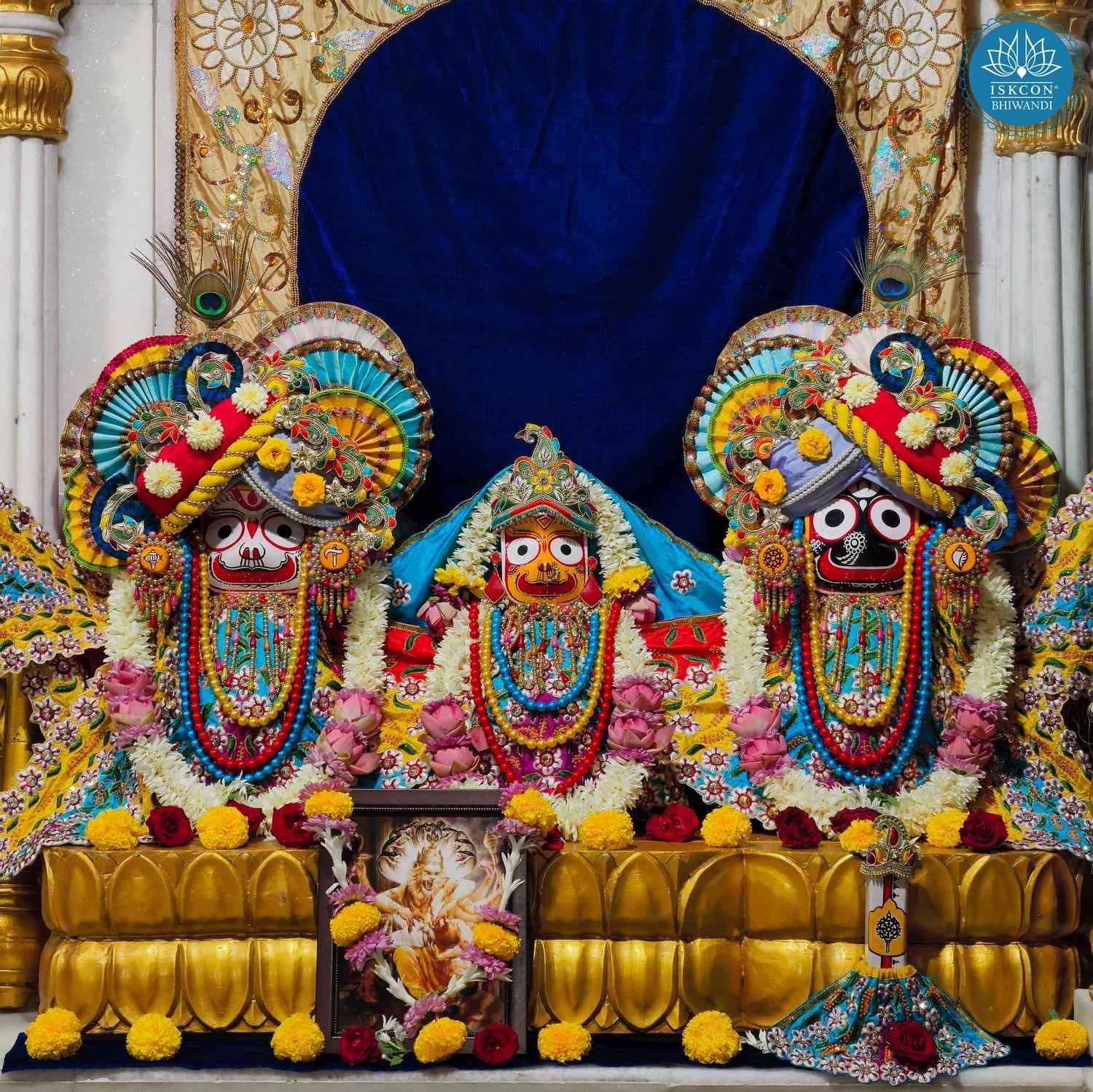 Sringar Darshan photo 4 of 12 — 7 November 2025