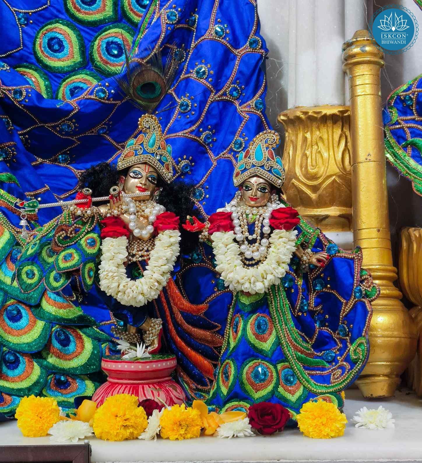 Sringar Darshan photo 10 of 12 — 8 November 2025
