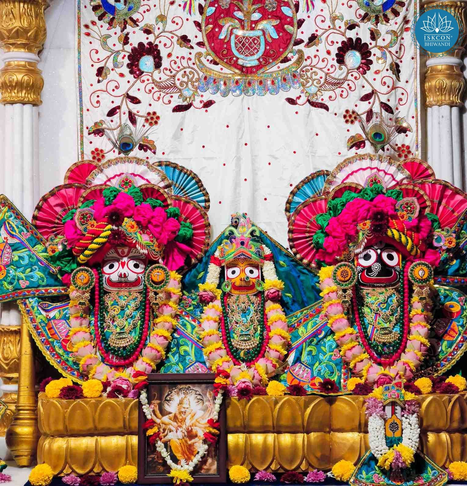 Sringar Darshan photo 2 of 12 — 9 November 2025