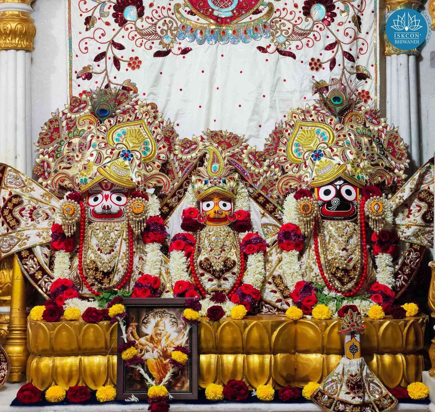 Sringar Darshan photo 4 of 12 — 10 November 2025