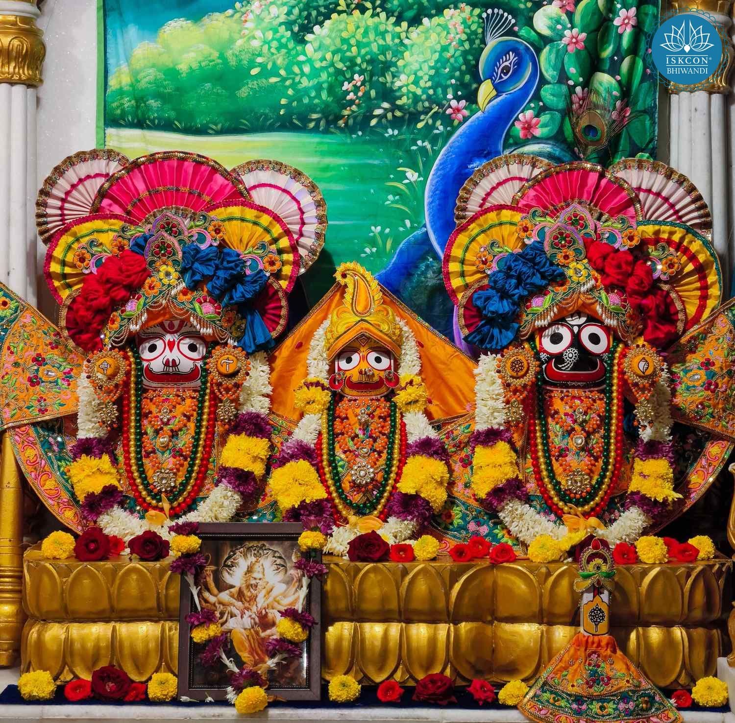 Sringar Darshan photo 4 of 12 — 11 November 2025
