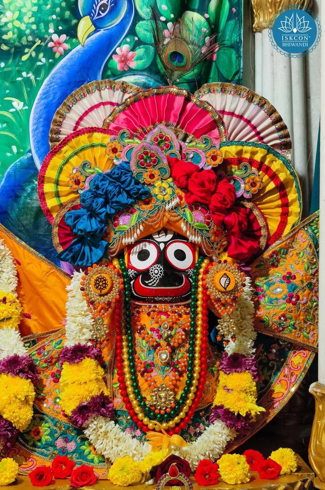 Sringar Darshan photo 7 of 12 — 11 November 2025