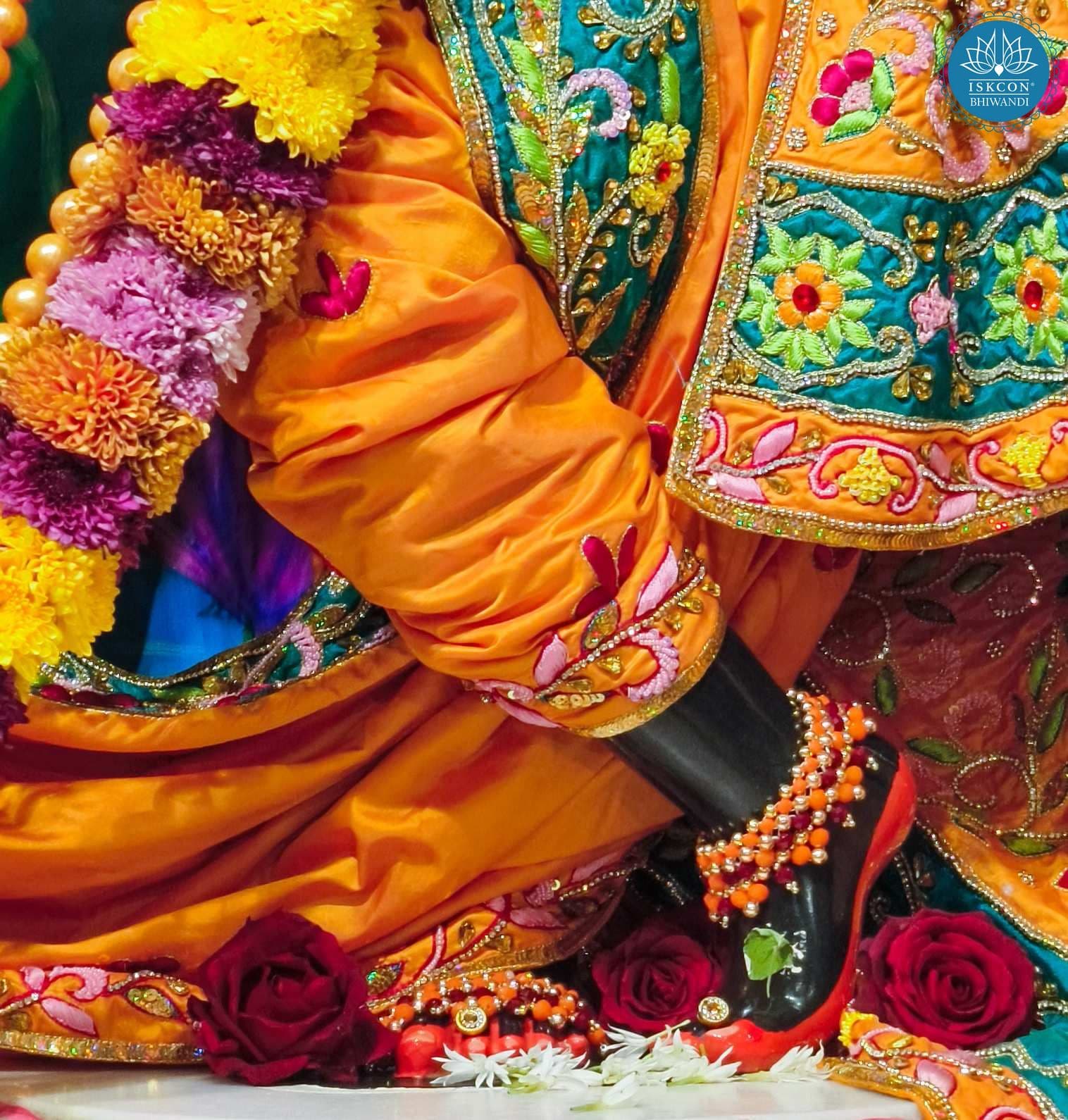 Sringar Darshan photo 3 of 12 — 11 November 2025