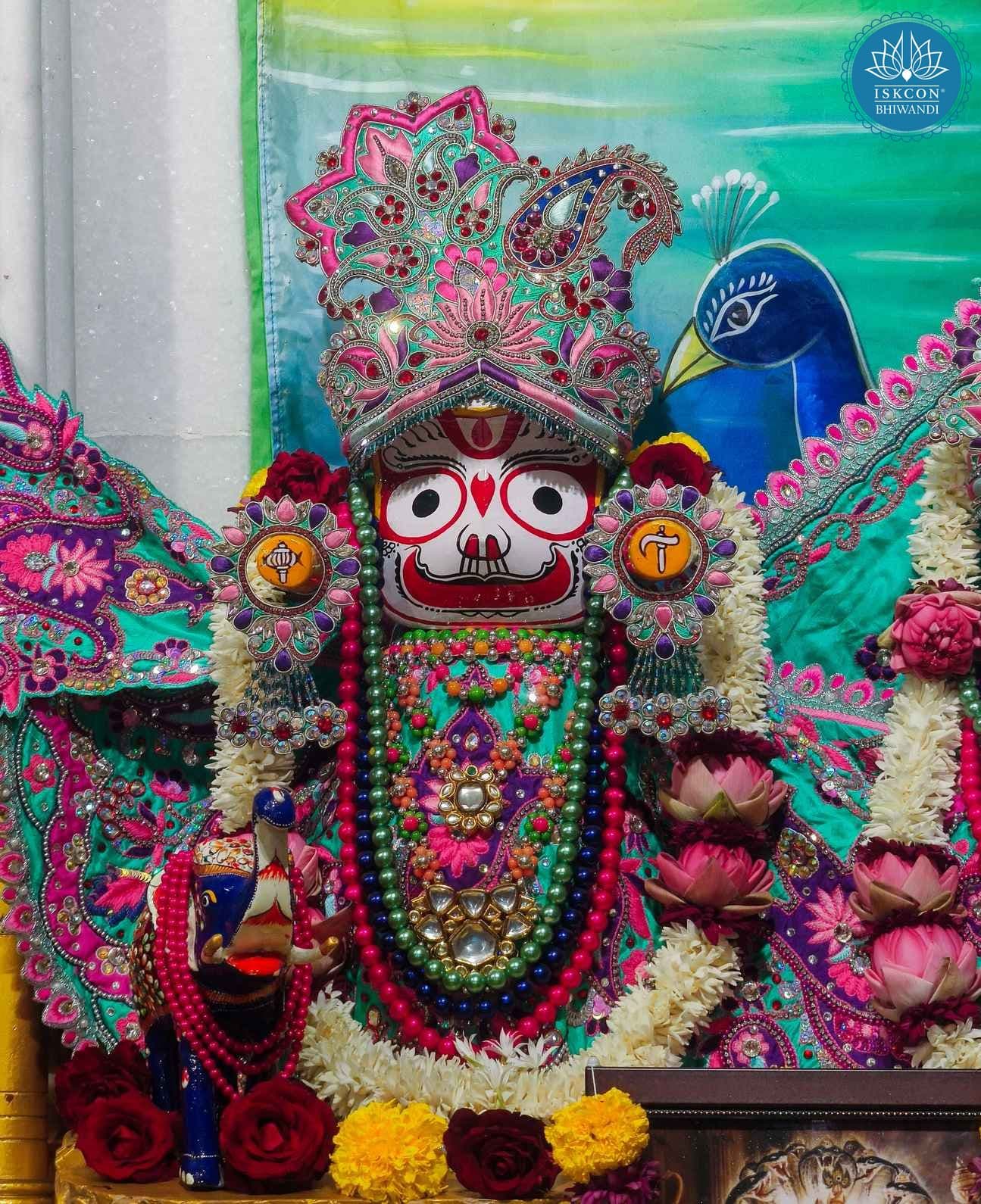 Sringar Darshan photo 9 of 12 — 12 November 2025