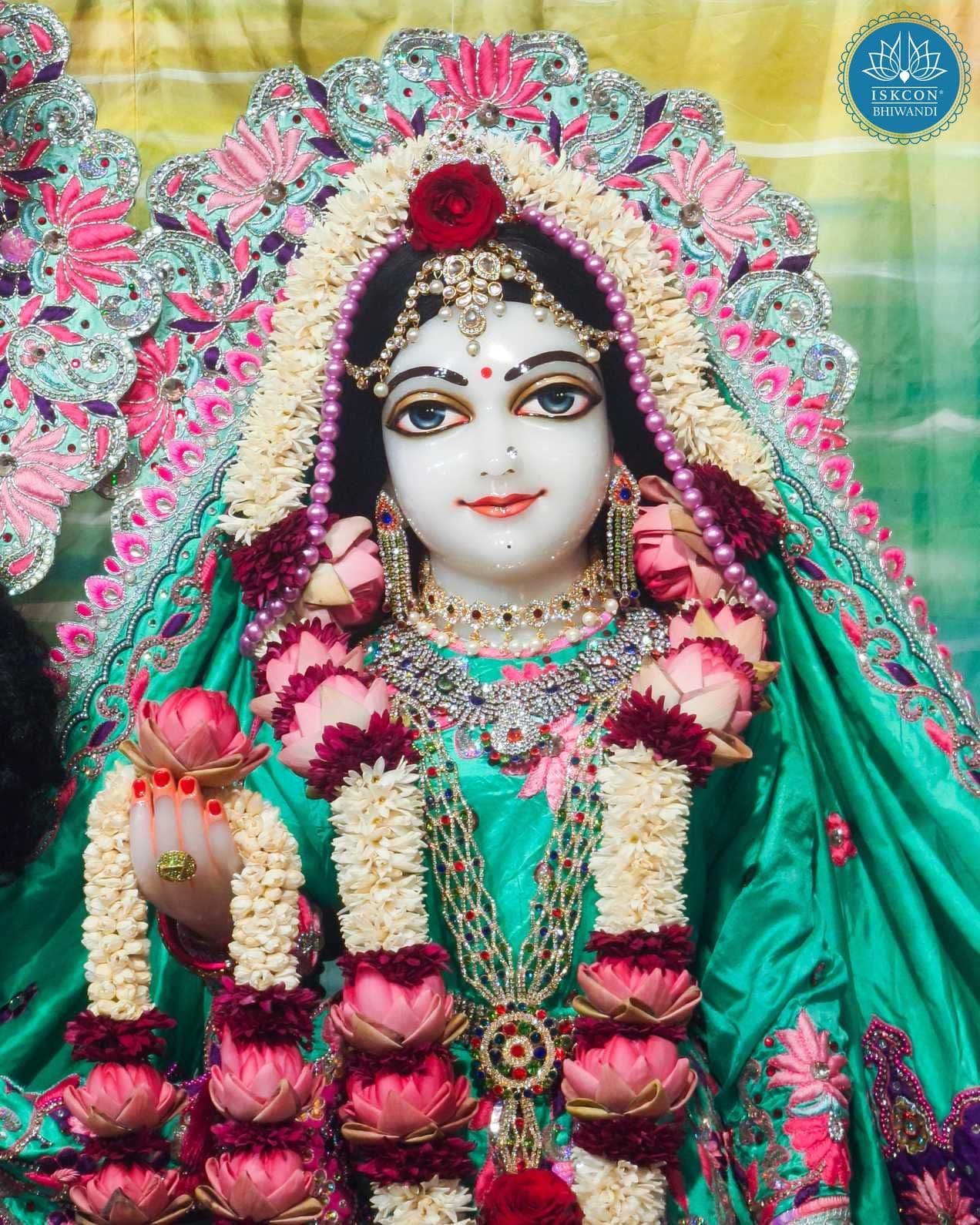 Sringar Darshan photo 12 of 12 — 12 November 2025