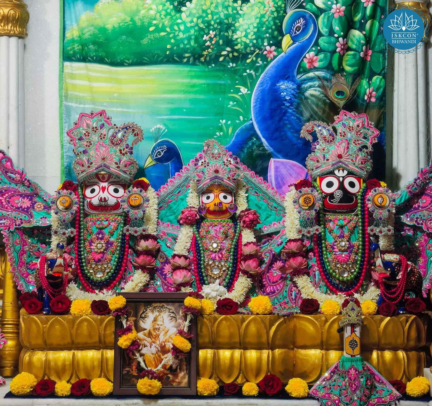 Sringar Darshan photo 4 of 12 — 12 November 2025
