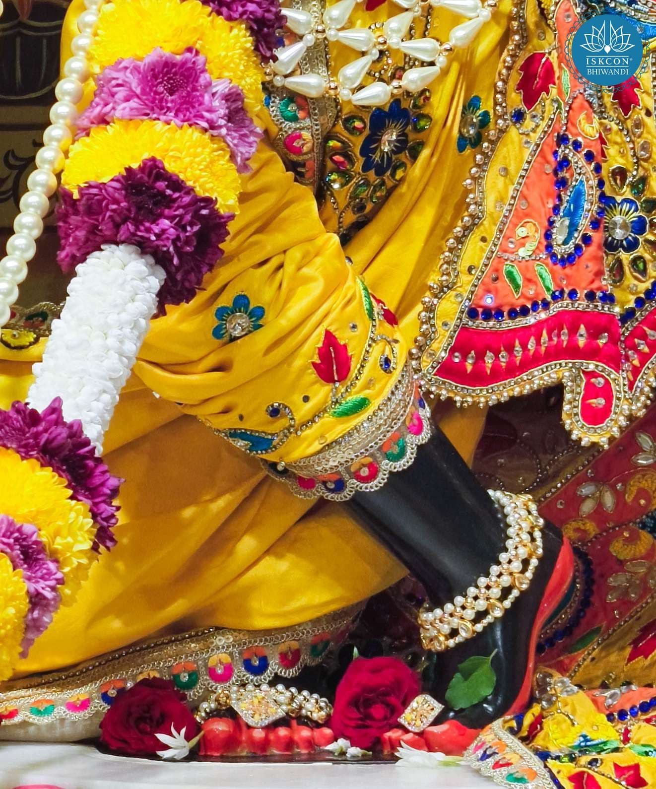 Sringar Darshan photo 3 of 12 — 13 November 2025