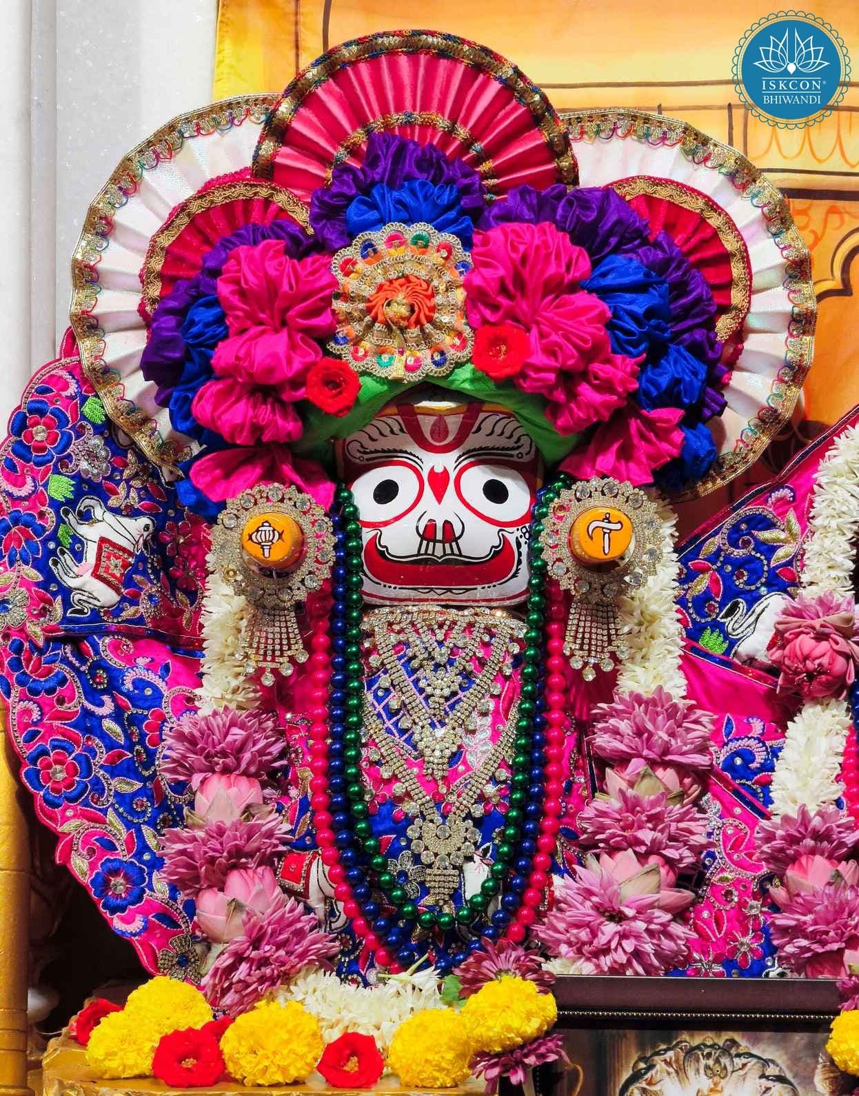 Sringar Darshan photo 9 of 12 — 14 November 2025
