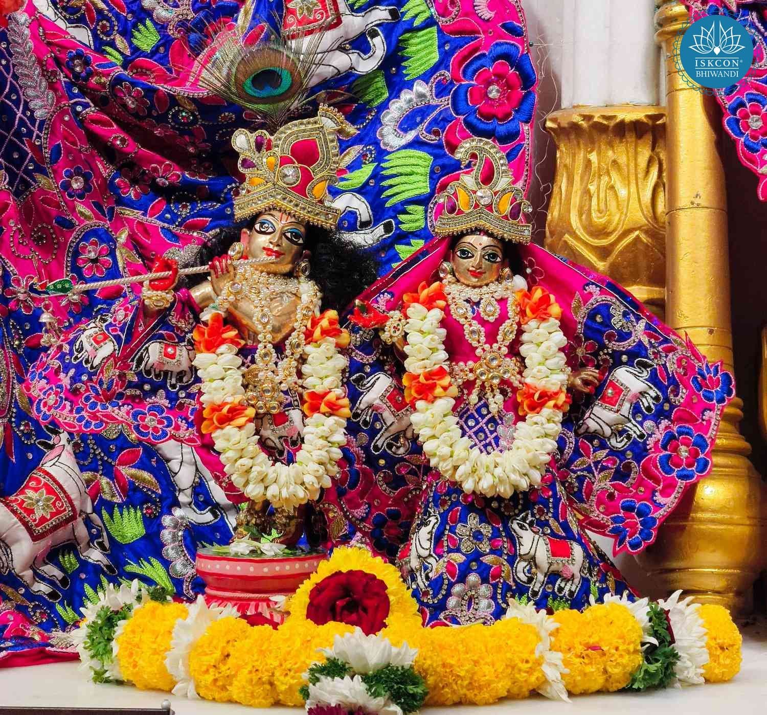 Sringar Darshan photo 10 of 12 — 14 November 2025