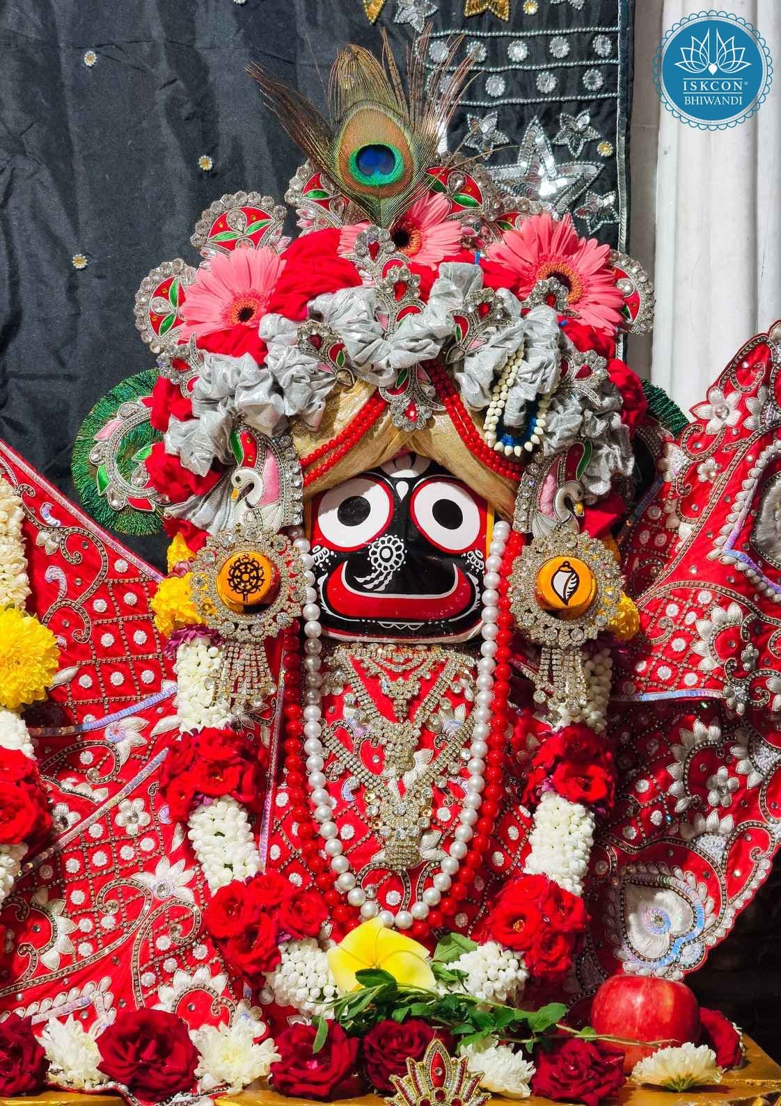 Sringar Darshan photo 7 of 12 — 15 November 2025