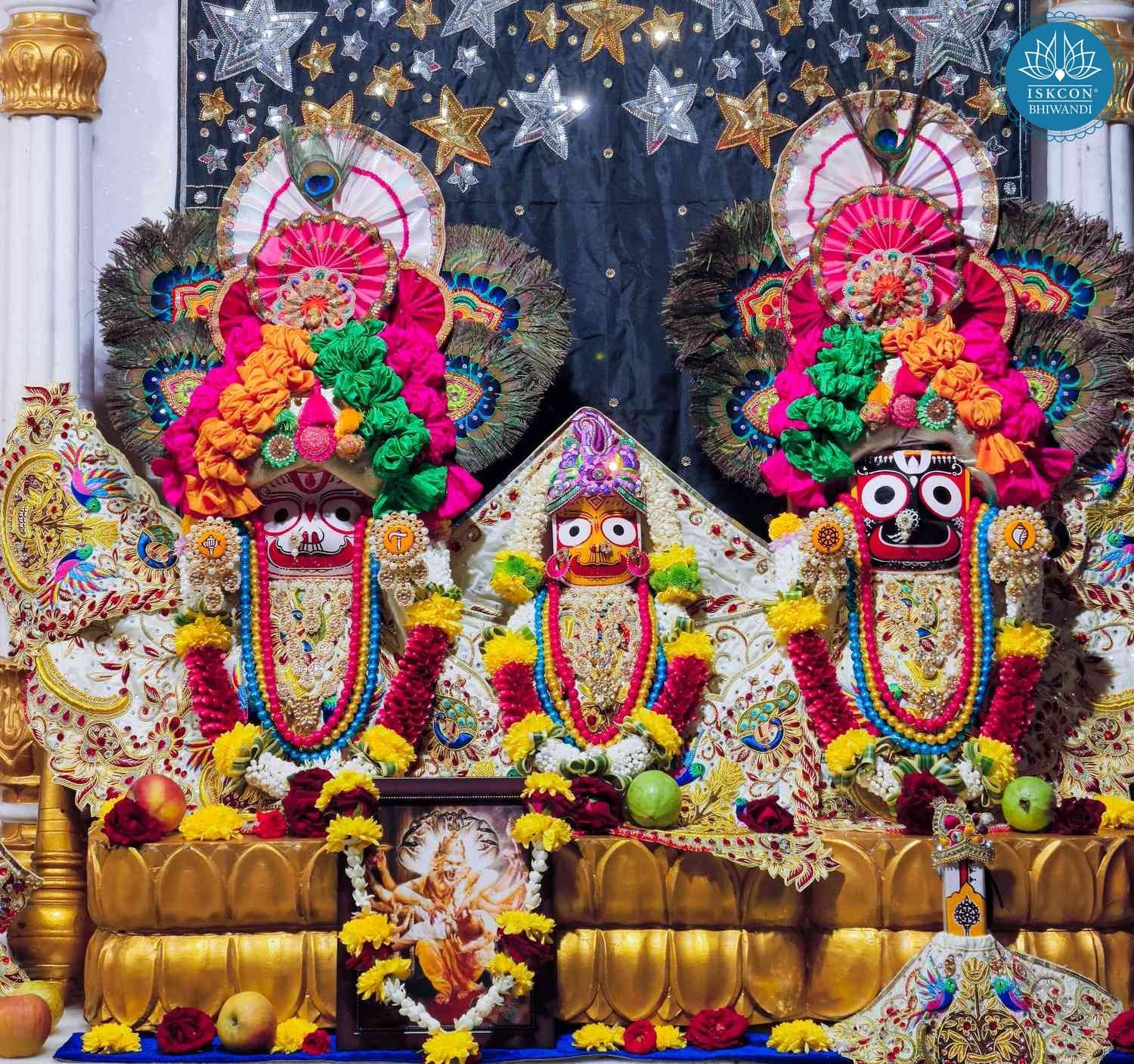 Sringar Darshan photo 4 of 12 — 16 November 2025