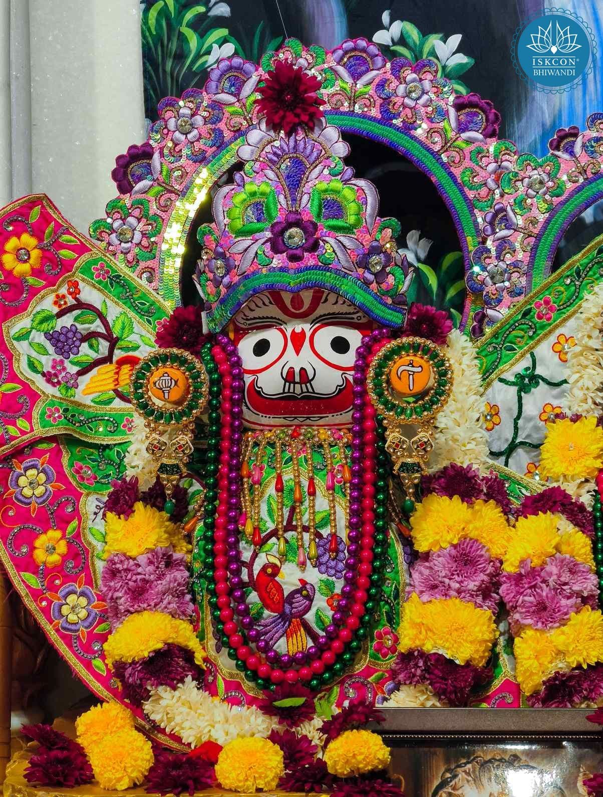 Sringar Darshan photo 9 of 12 — 17 November 2025