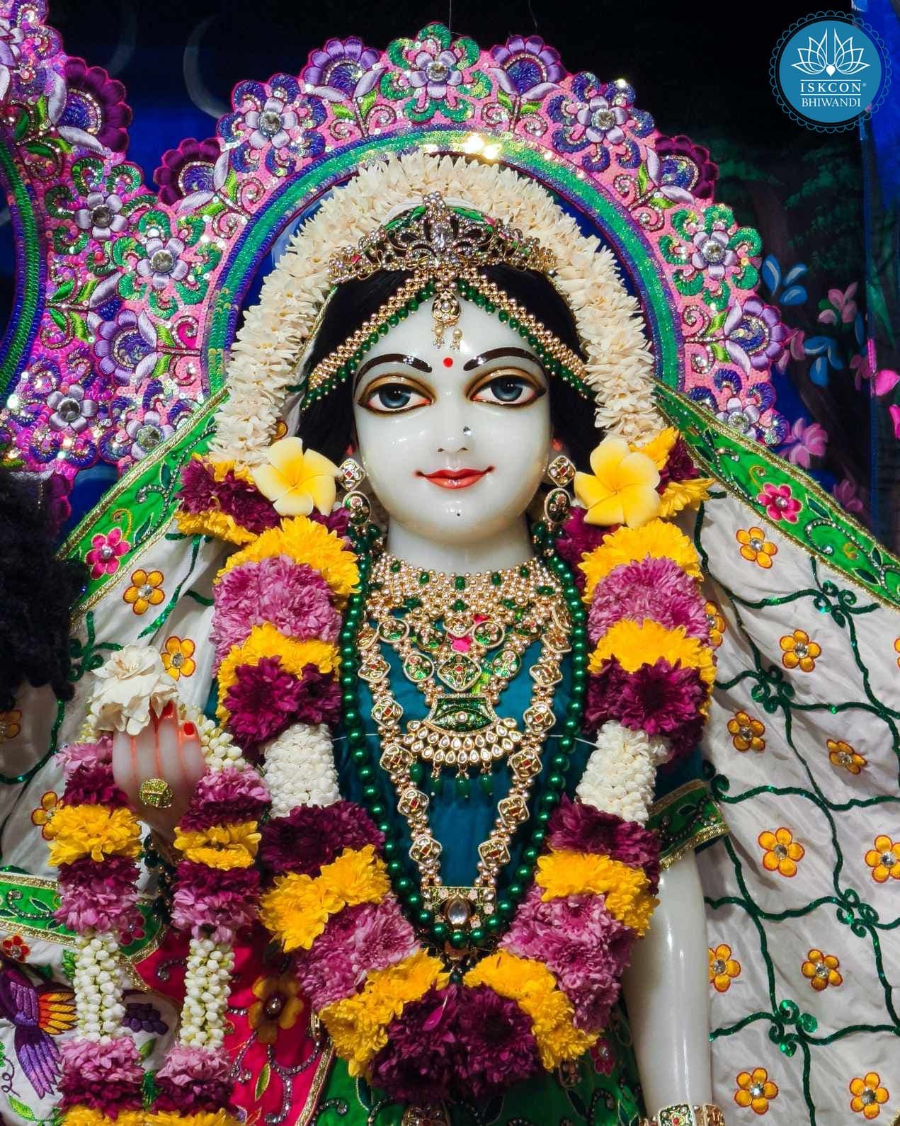 Sringar Darshan photo 12 of 12 — 17 November 2025