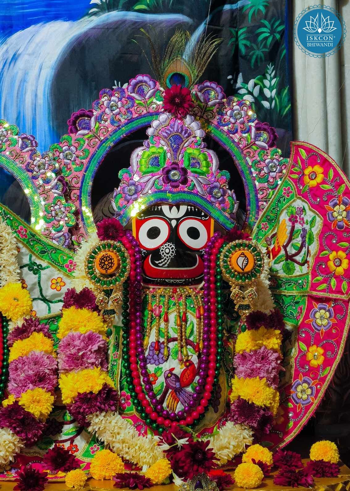 Sringar Darshan photo 7 of 12 — 17 November 2025