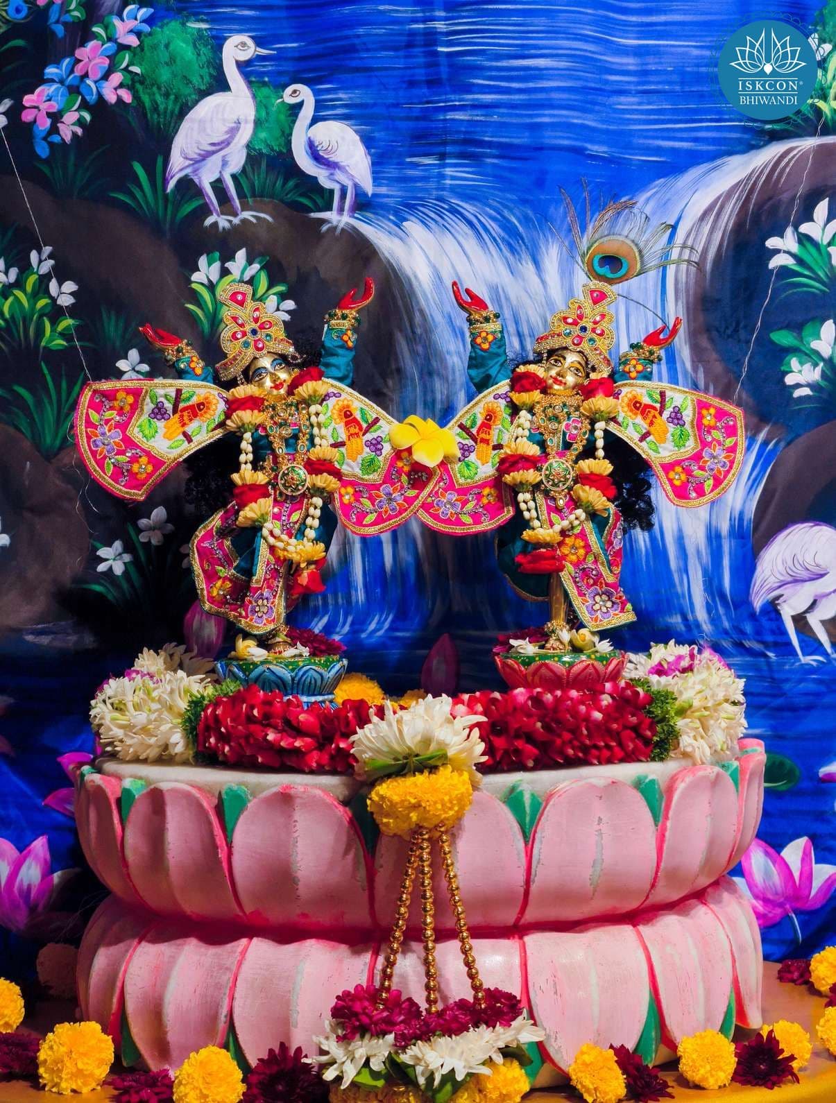Sringar Darshan photo 6 of 12 — 17 November 2025