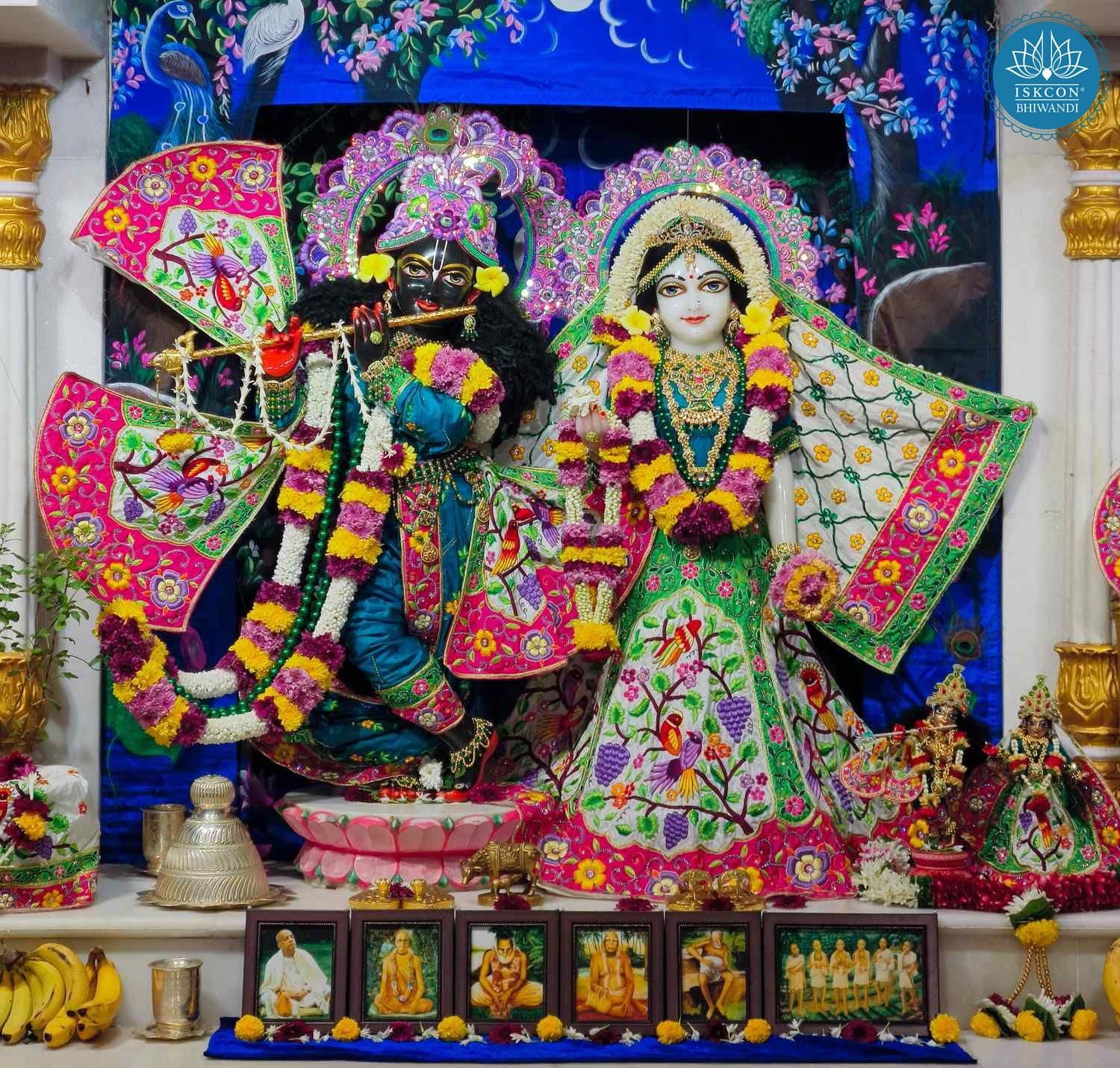 Sringar Darshan photo 1 of 12 — 17 November 2025