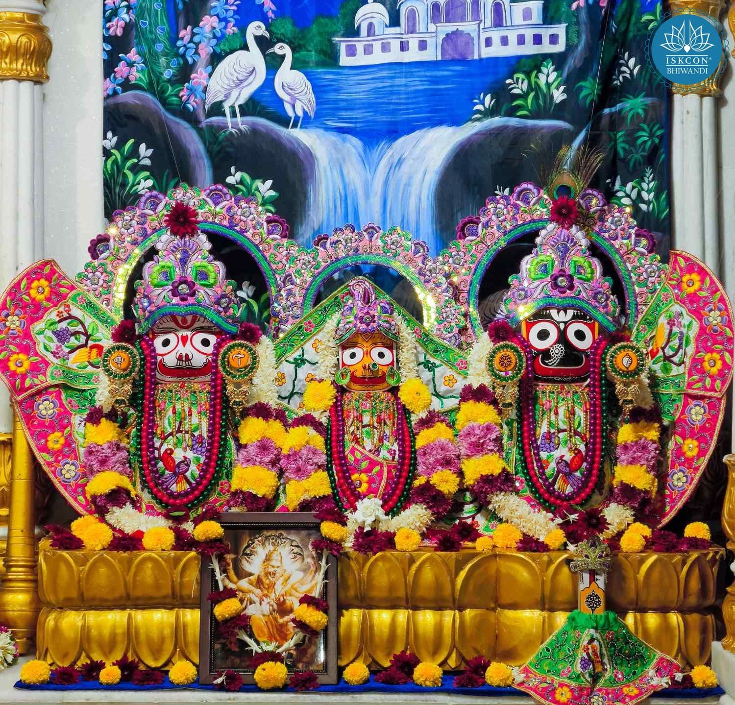 Sringar Darshan photo 4 of 12 — 17 November 2025
