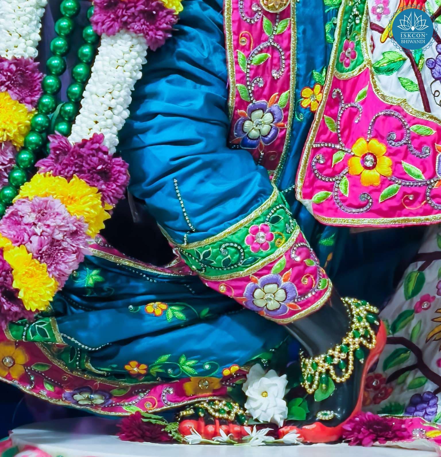 Sringar Darshan photo 3 of 12 — 17 November 2025