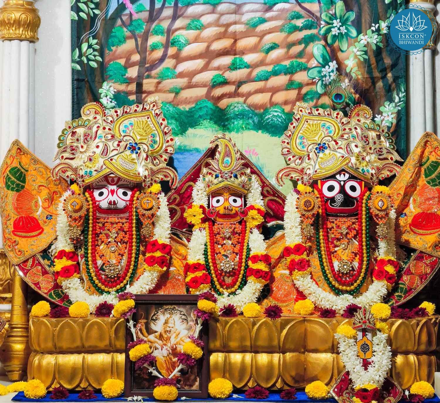 Sringar Darshan photo 2 of 12 — 18 November 2025