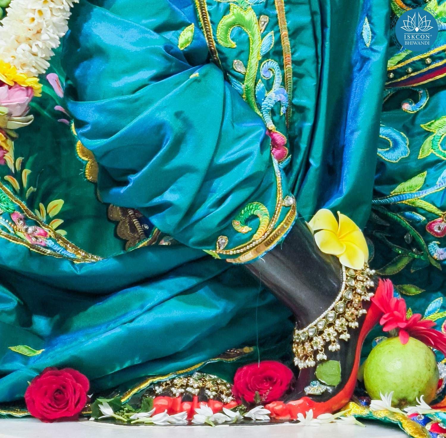 Sringar Darshan photo 4 of 12 — 19 November 2025
