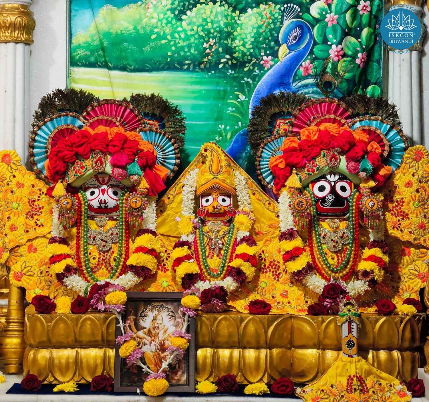 Sringar Darshan photo 2 of 12 — 20 November 2025