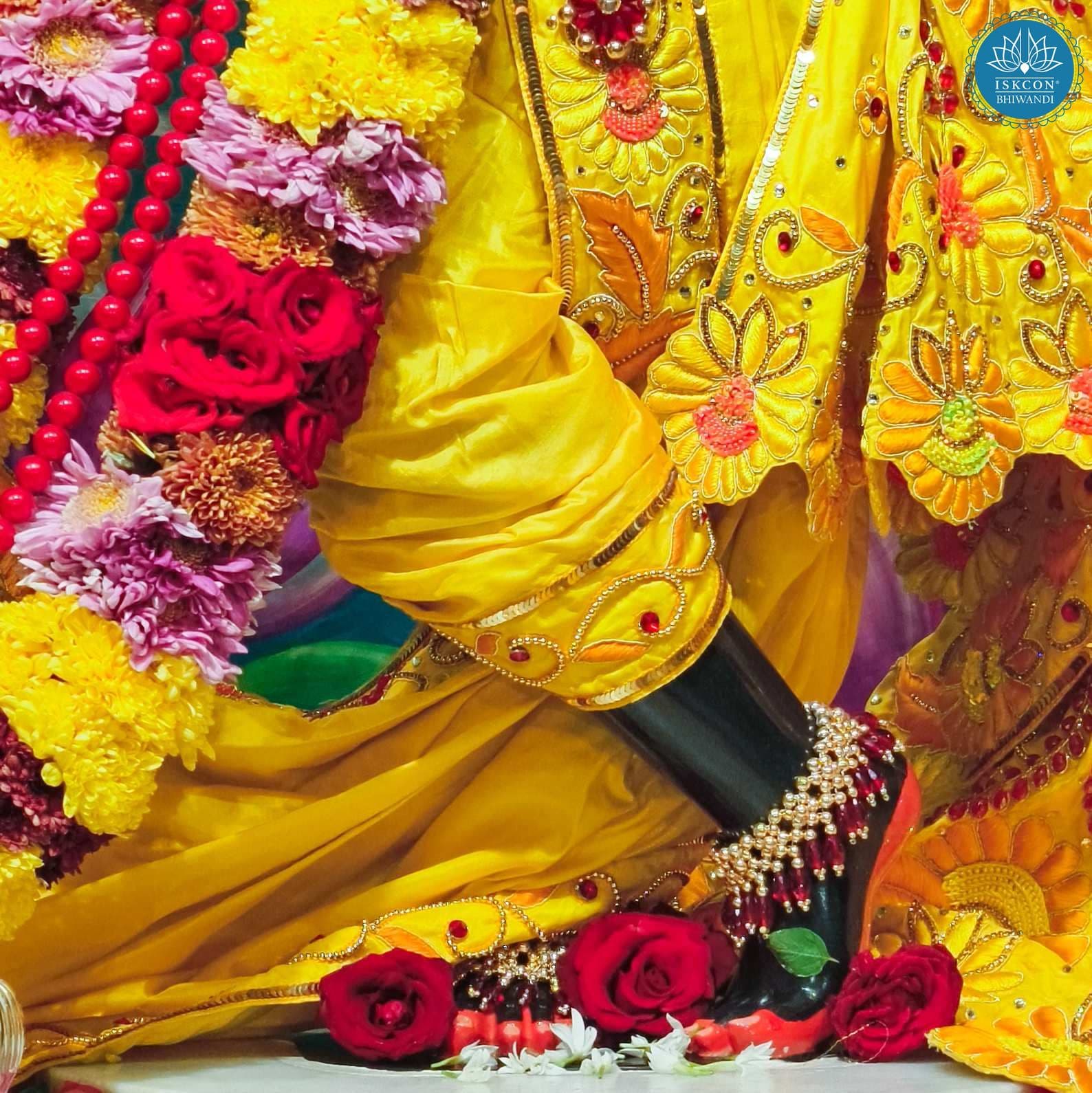 Sringar Darshan photo 10 of 12 — 20 November 2025