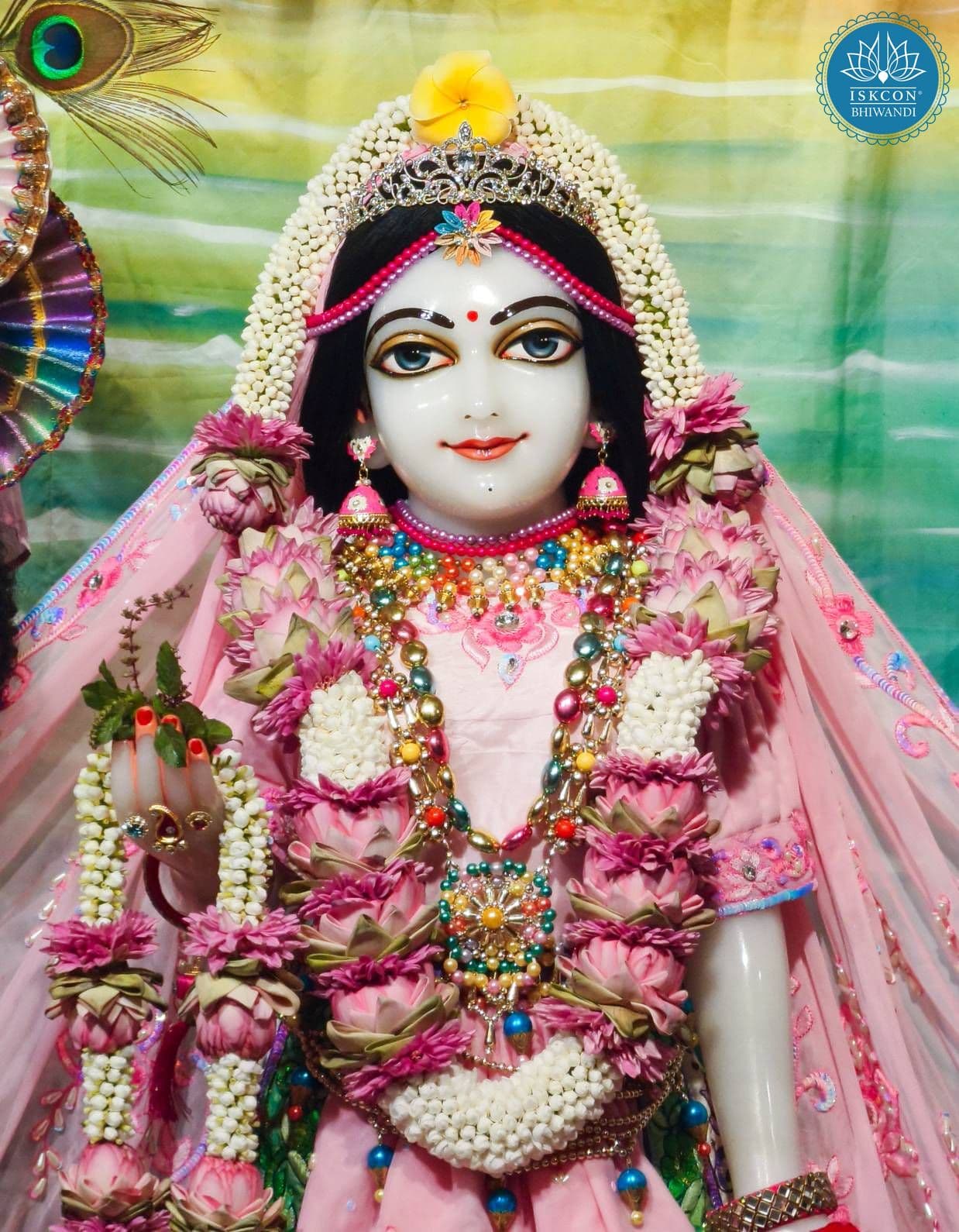 Sringar Darshan photo 11 of 12 — 21 November 2025
