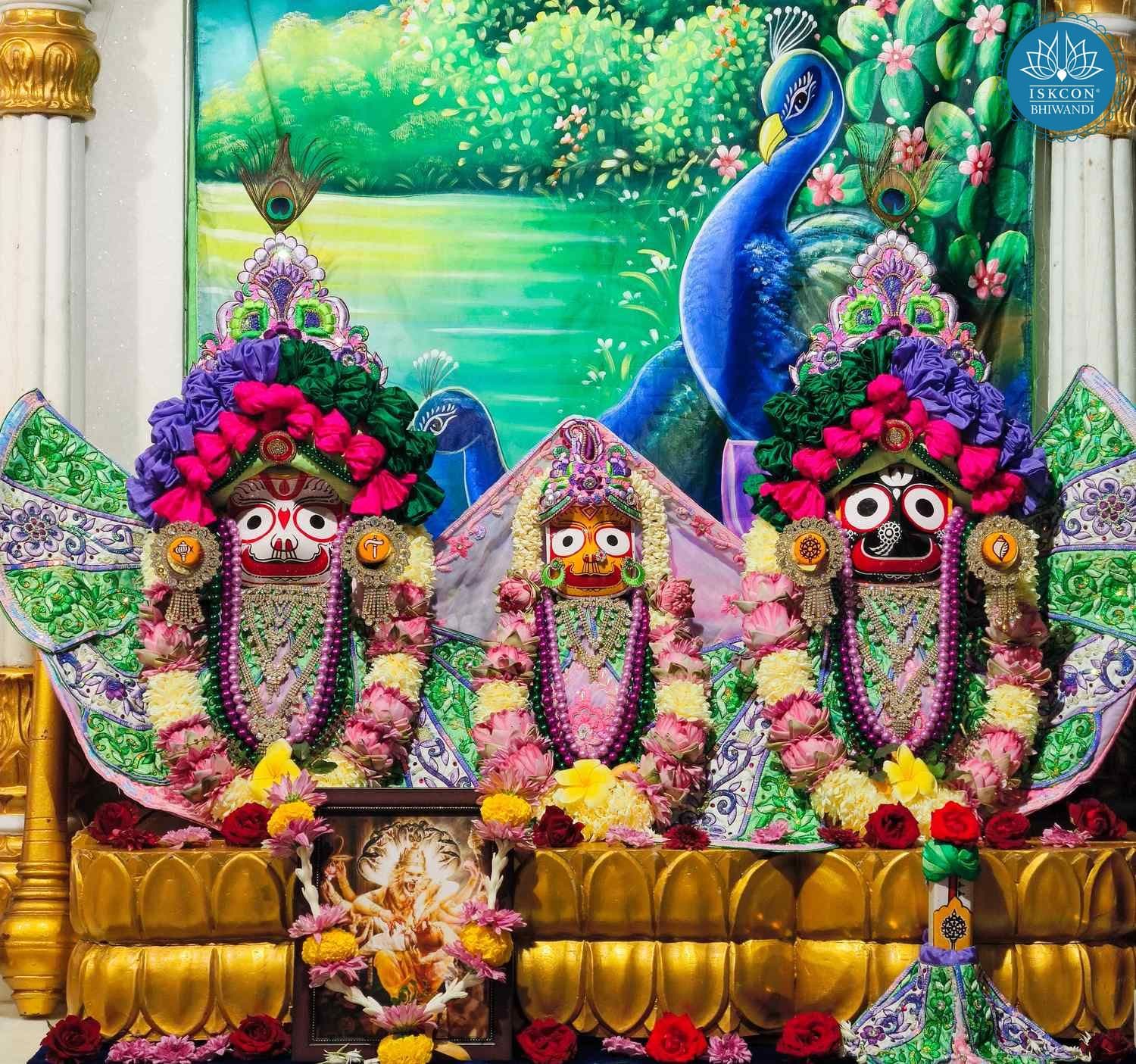 Sringar Darshan photo 4 of 12 — 21 November 2025