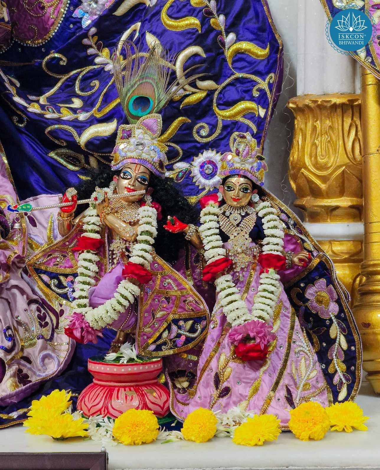 Sringar Darshan photo 10 of 12 — 22 November 2025