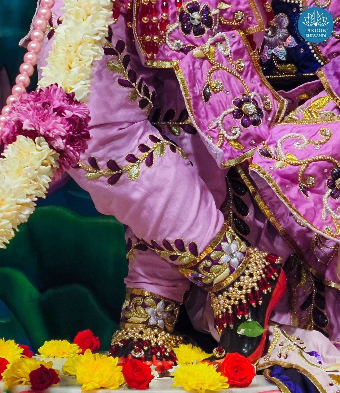 Sringar Darshan photo 3 of 12 — 22 November 2025
