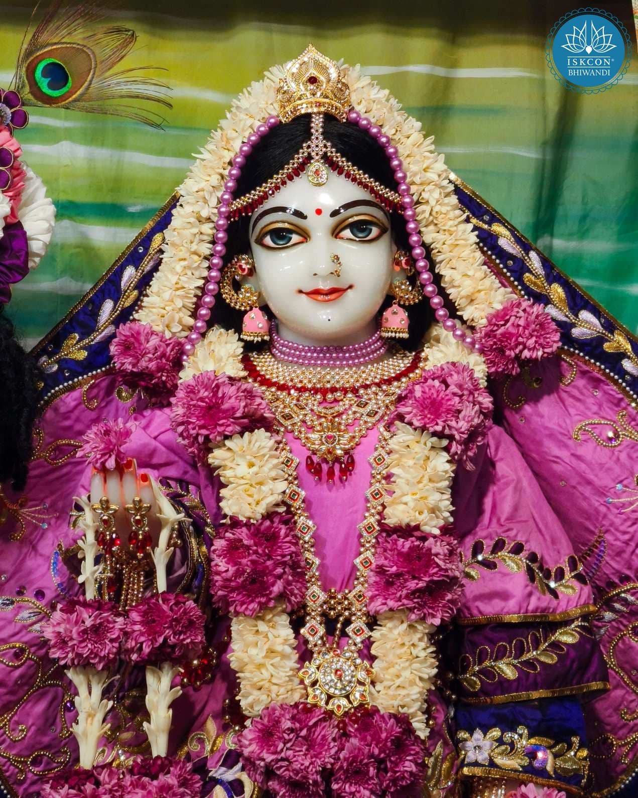 Sringar Darshan photo 12 of 12 — 22 November 2025