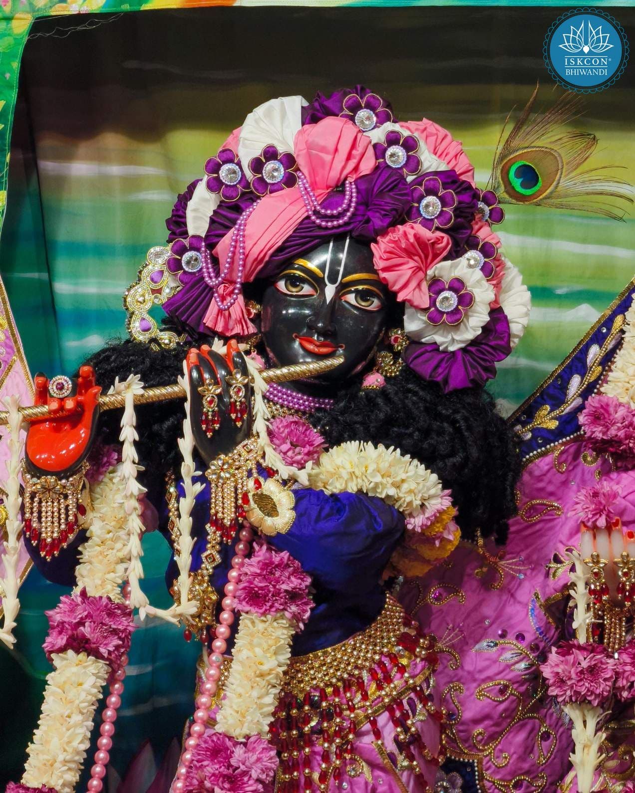 Sringar Darshan photo 11 of 12 — 22 November 2025