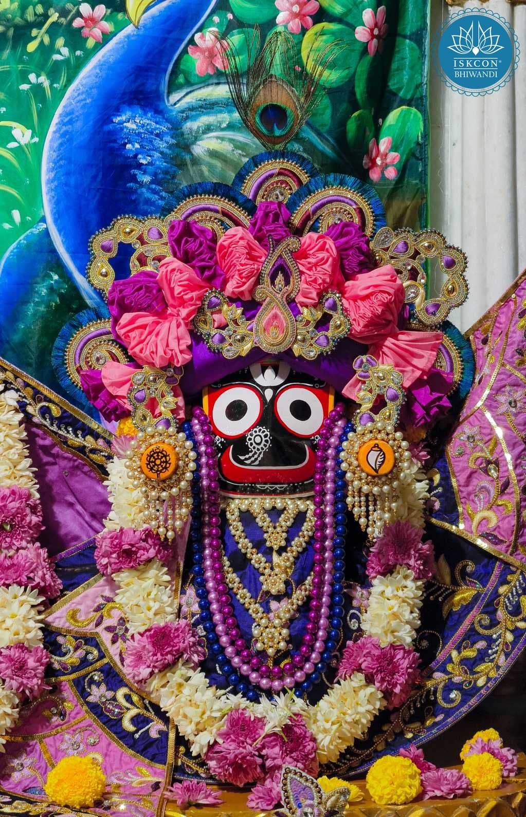 Sringar Darshan photo 7 of 12 — 22 November 2025
