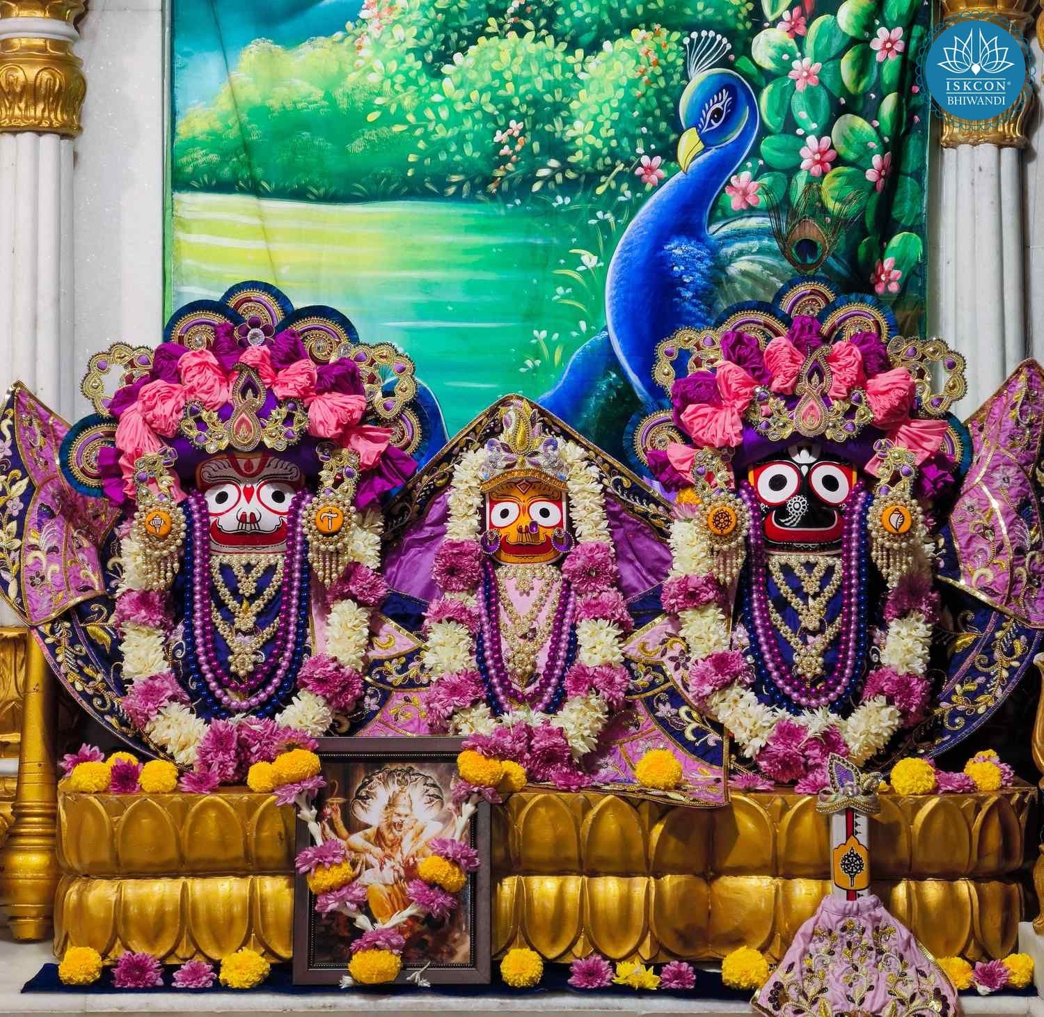 Sringar Darshan photo 4 of 12 — 22 November 2025