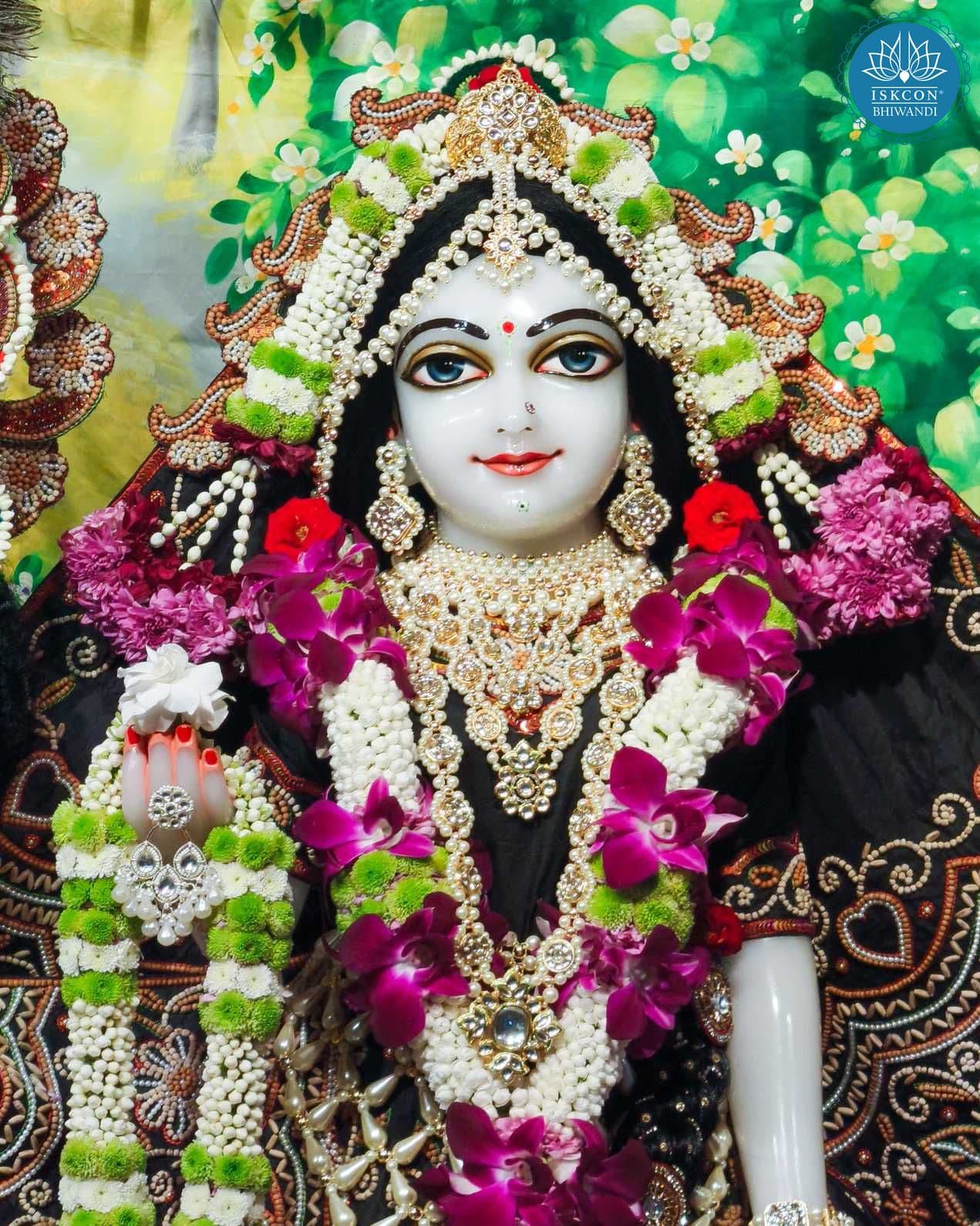 Sringar Darshan photo 11 of 12 — 23 November 2025