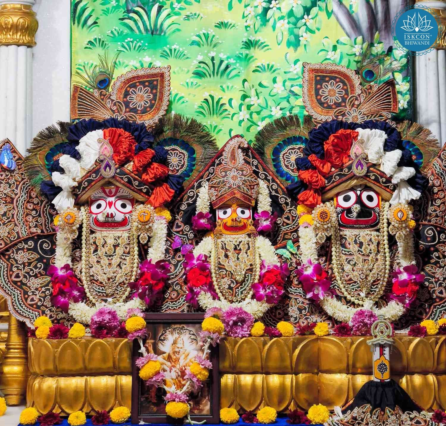 Sringar Darshan photo 2 of 12 — 23 November 2025