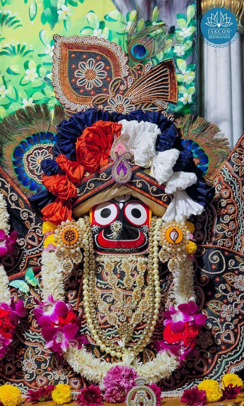 Sringar Darshan photo 7 of 12 — 23 November 2025
