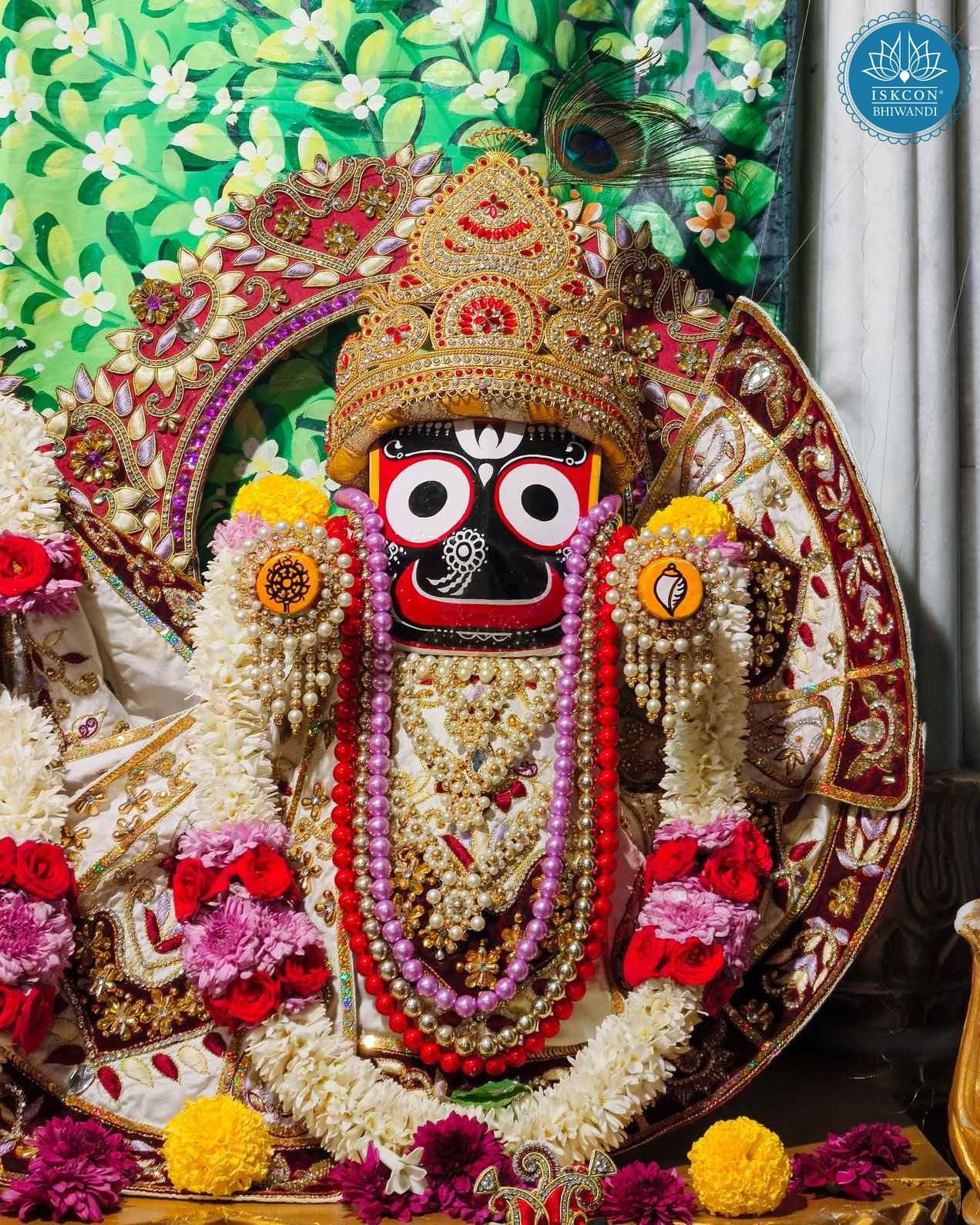Sringar Darshan photo 7 of 12 — 24 November 2025